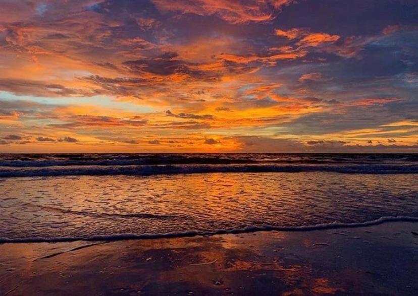 Private Room In A 2 Bedroom 1 Bathroom Shared With Host, On The Beach, Surrounded By Resorts, Only 2 People Max St. Pete Beach Extérieur photo